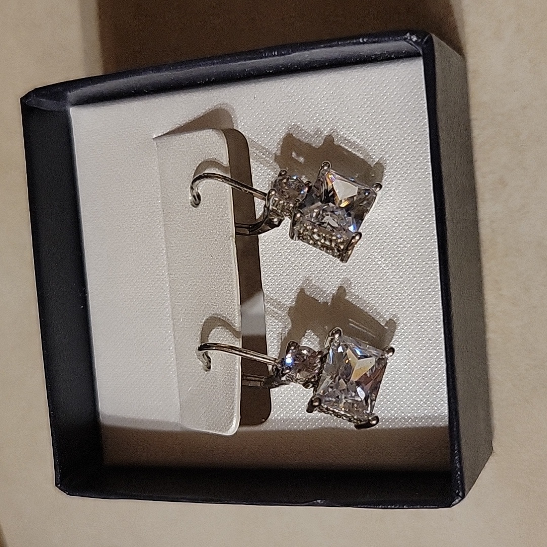 Nwt Cubic Zarconia Silvertone Drop Earrings 18$